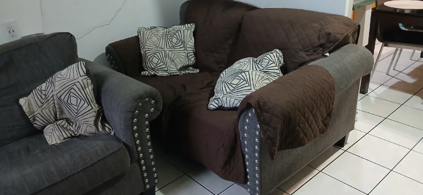 Comfortable Gray Sofa and Loveseat Set - photo 3