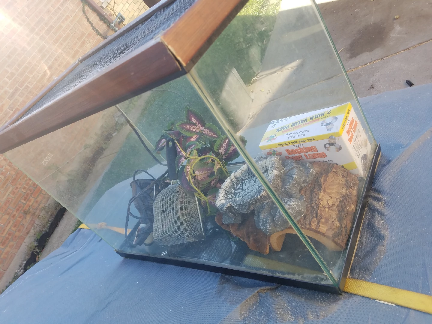 Reptile Habitat Tank with Accessories - photo 4