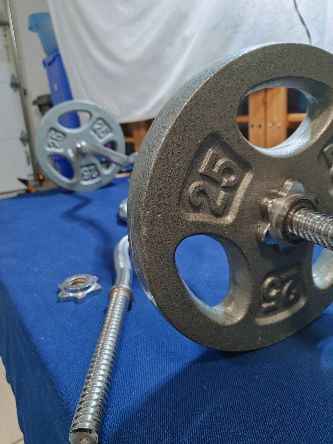 25 pound plates (pair) - photo 2