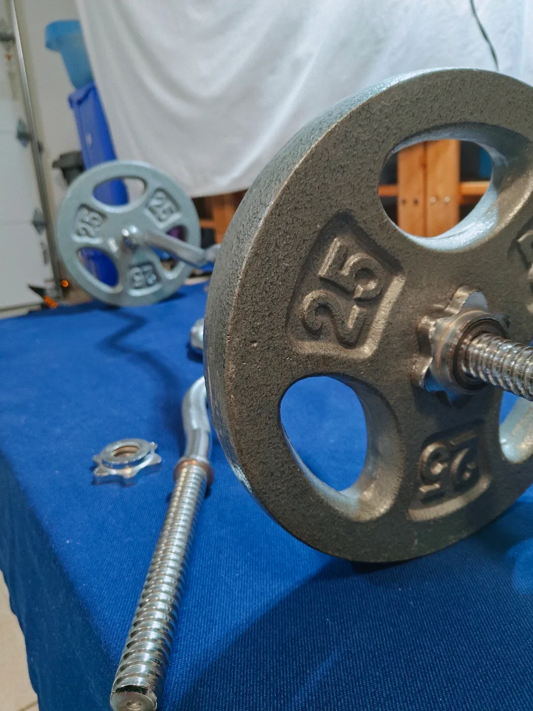 25 pound plates (pair) image indicator(2)