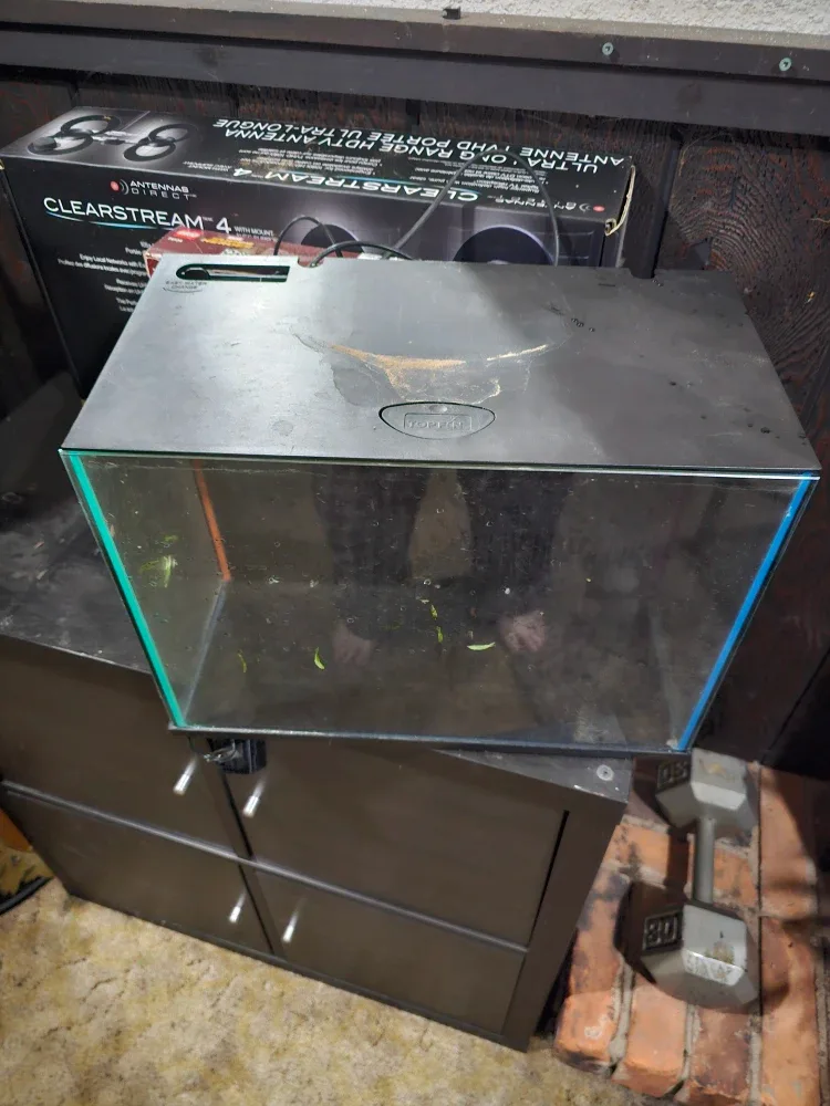 7 gallon fish tank 15"x10x11"