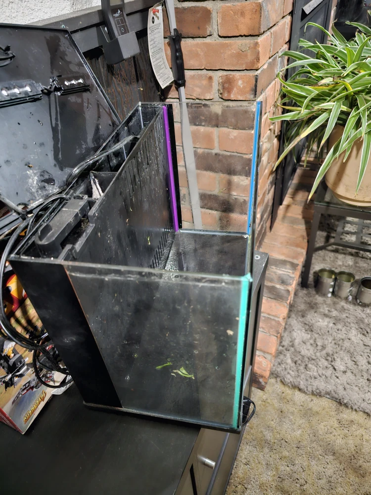 7 gallon fish tank 15"x10x11" - photo 4