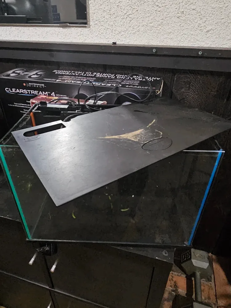 7 gallon fish tank 15"x10x11" image indicator(6)