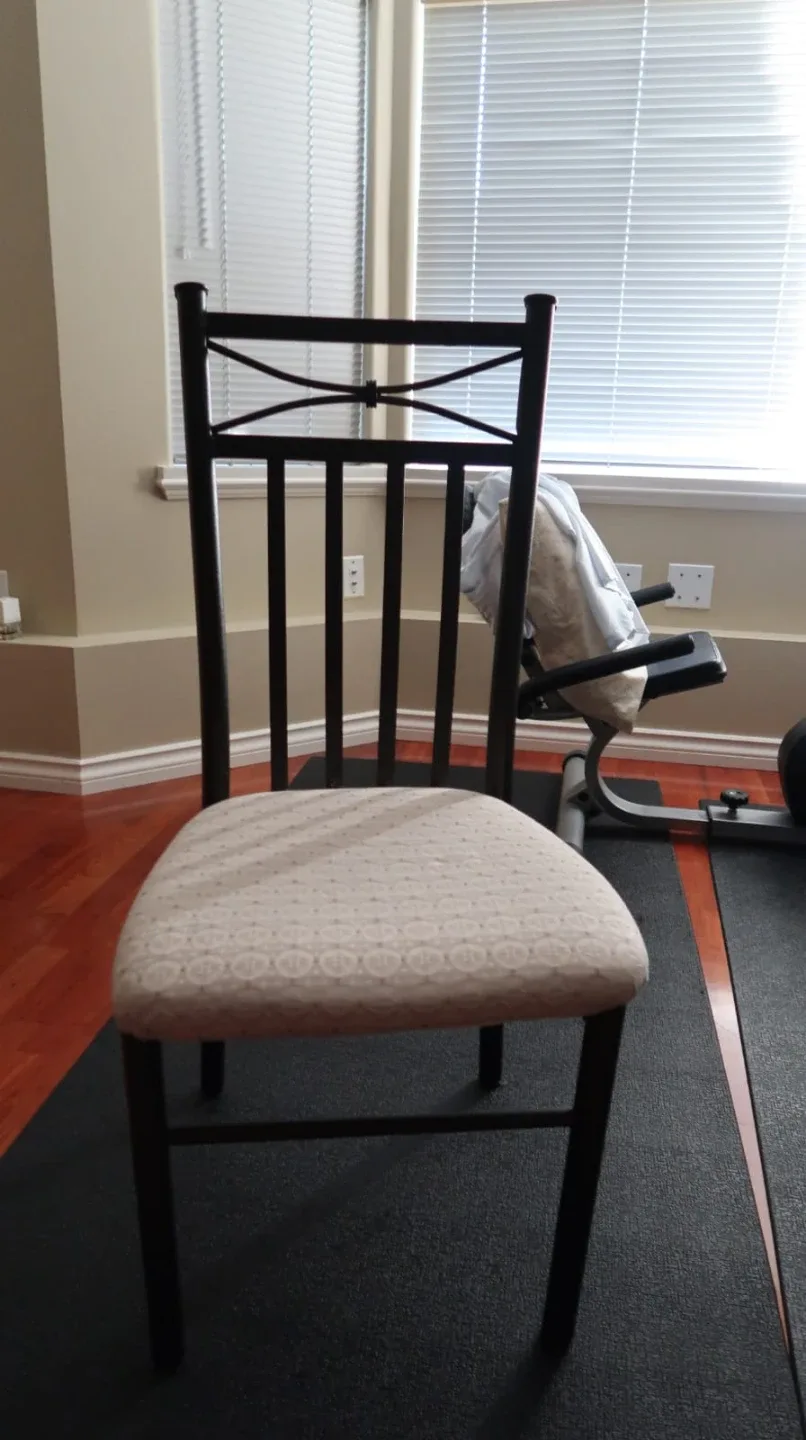 Dining Room Chair - Black Frame, Patterned Seat 🥕 thumbnail