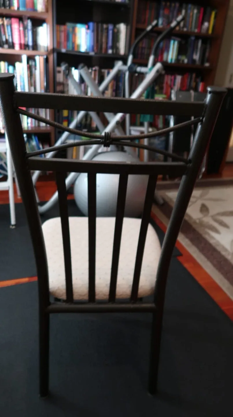Dining Room Chair - Black Frame, Patterned Seat 🥕 image indicator(2)