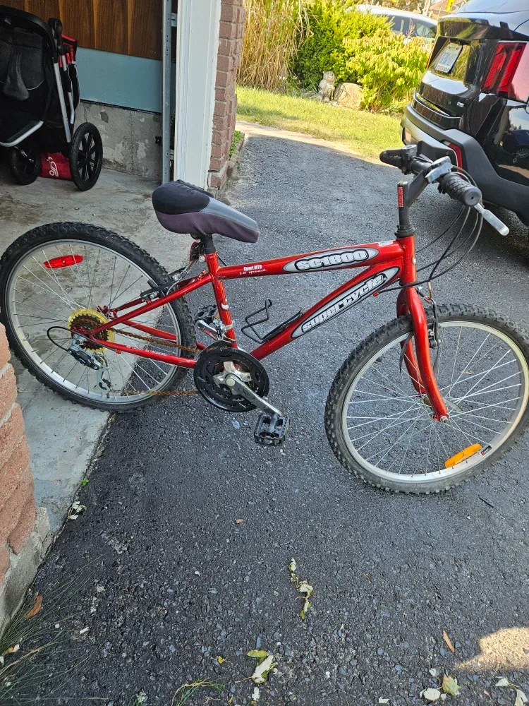 CCM Cobra Mountain Bike - Red image indicator(2)