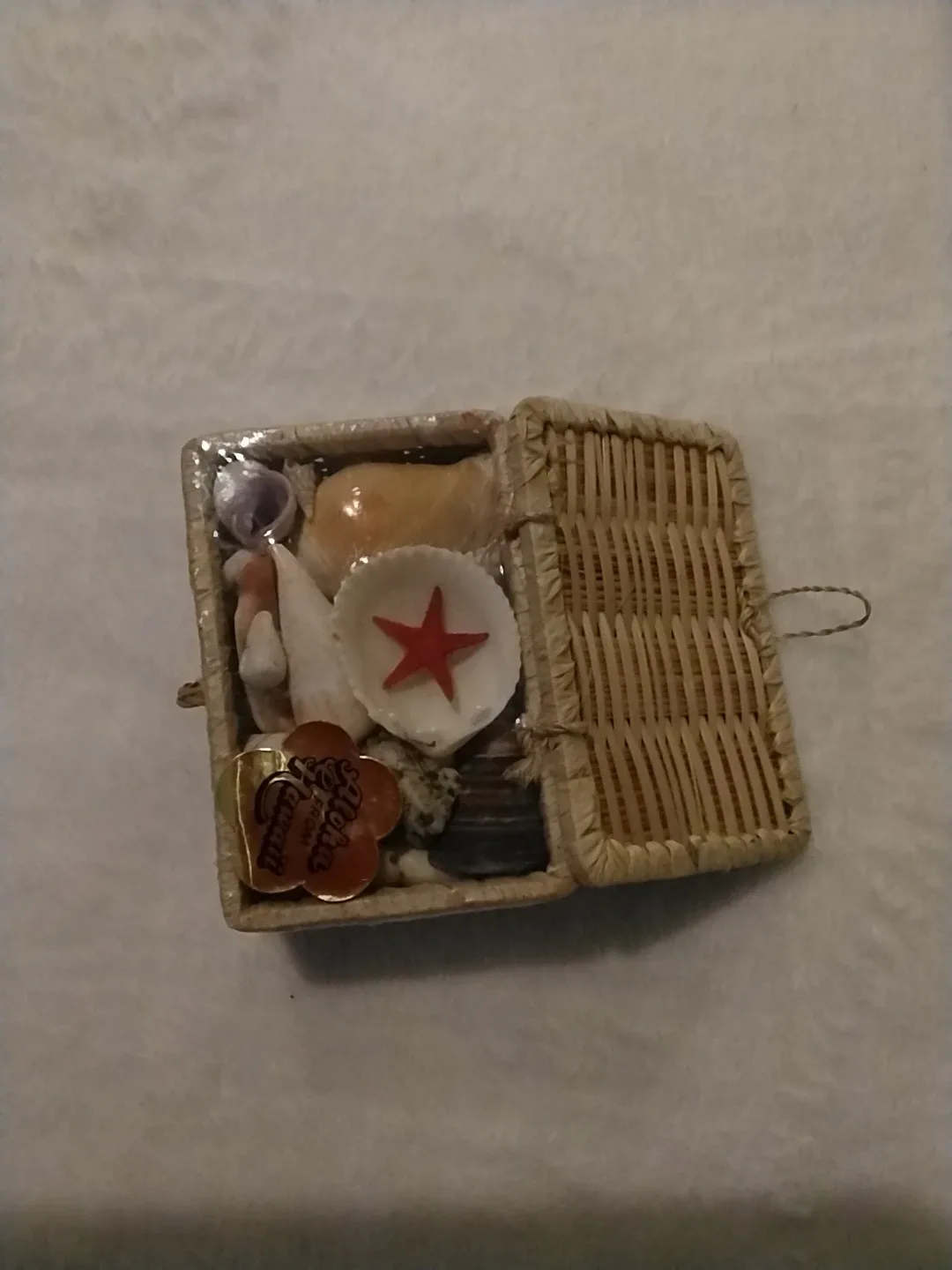 Seashells in Woven Box image indicator(2)