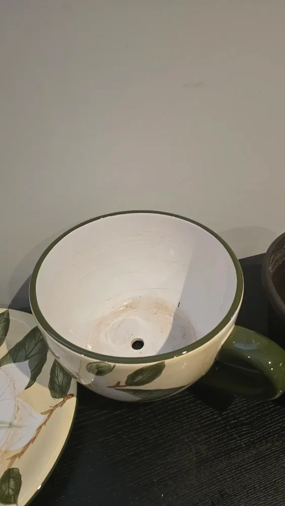 Floral Cup Planter with Saucer image indicator(4)