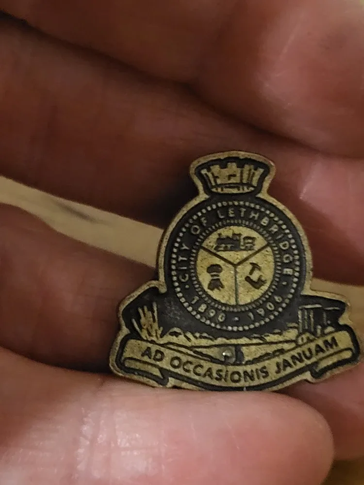 Vintage Manitoba & Town of Raymond Pin Lot of 7 pins. image indicator(8)