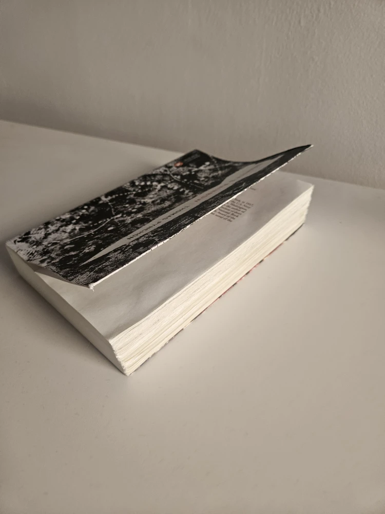 Gravity's Rainbow novel by Thomas Pynchon - photo 4