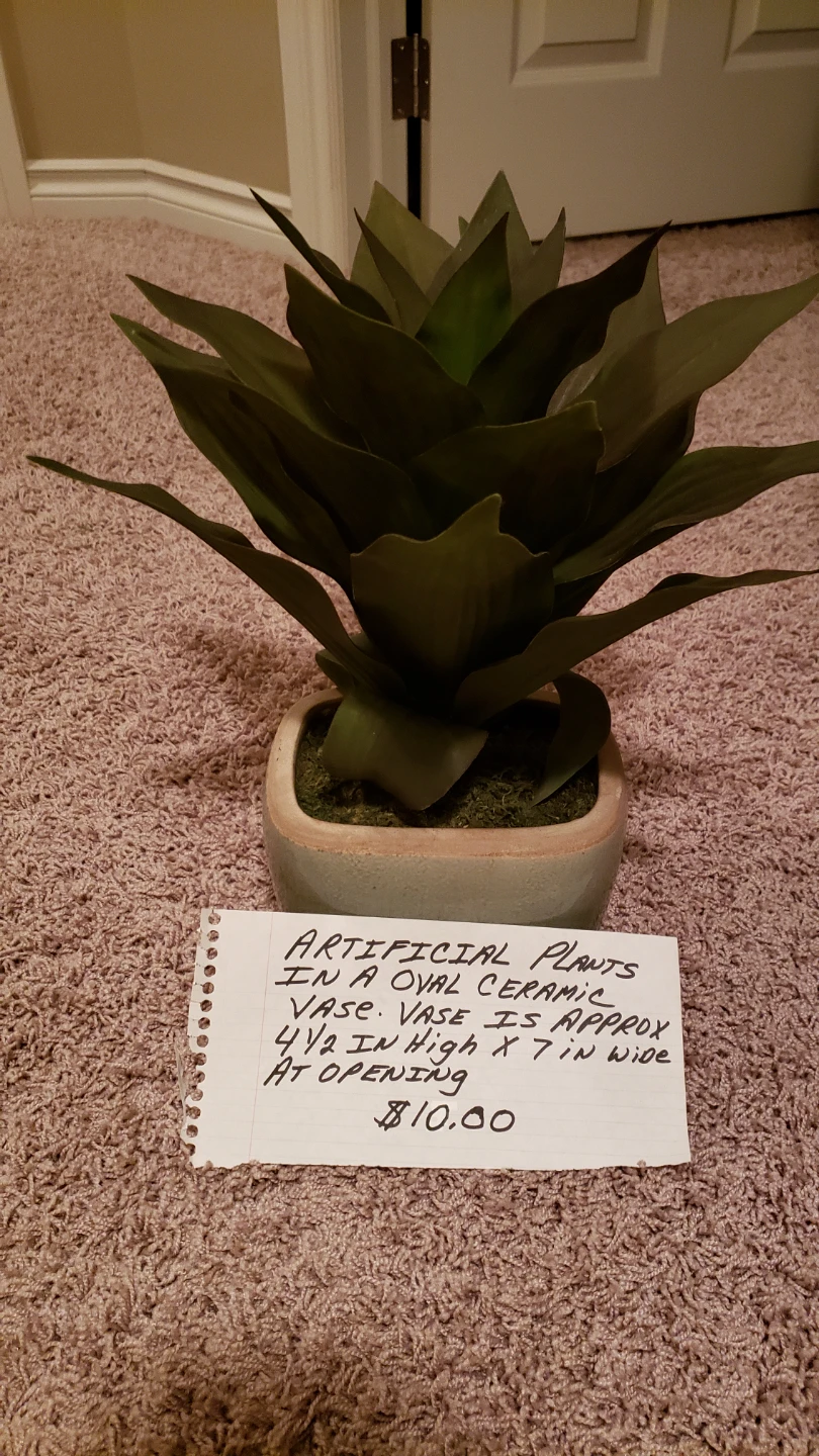 Artificial Plants in Ceramic Vases.$10 each - photo 3