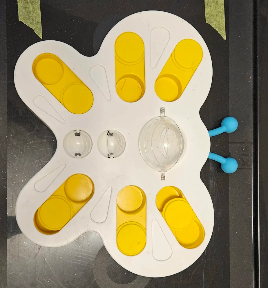 Butterfly-shaped puzzle cat toy