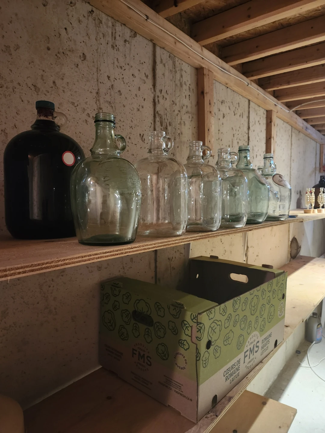 Glass Fermentation Bottles