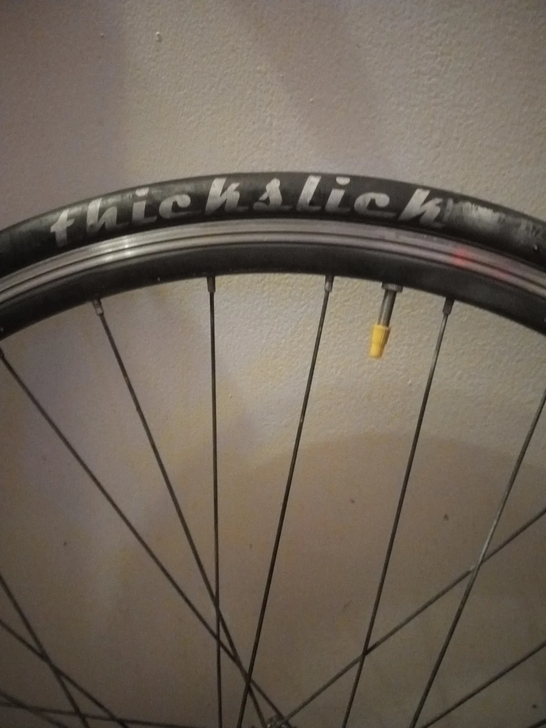 WTB ThickSlick Fixie Bike Wheel - photo 2