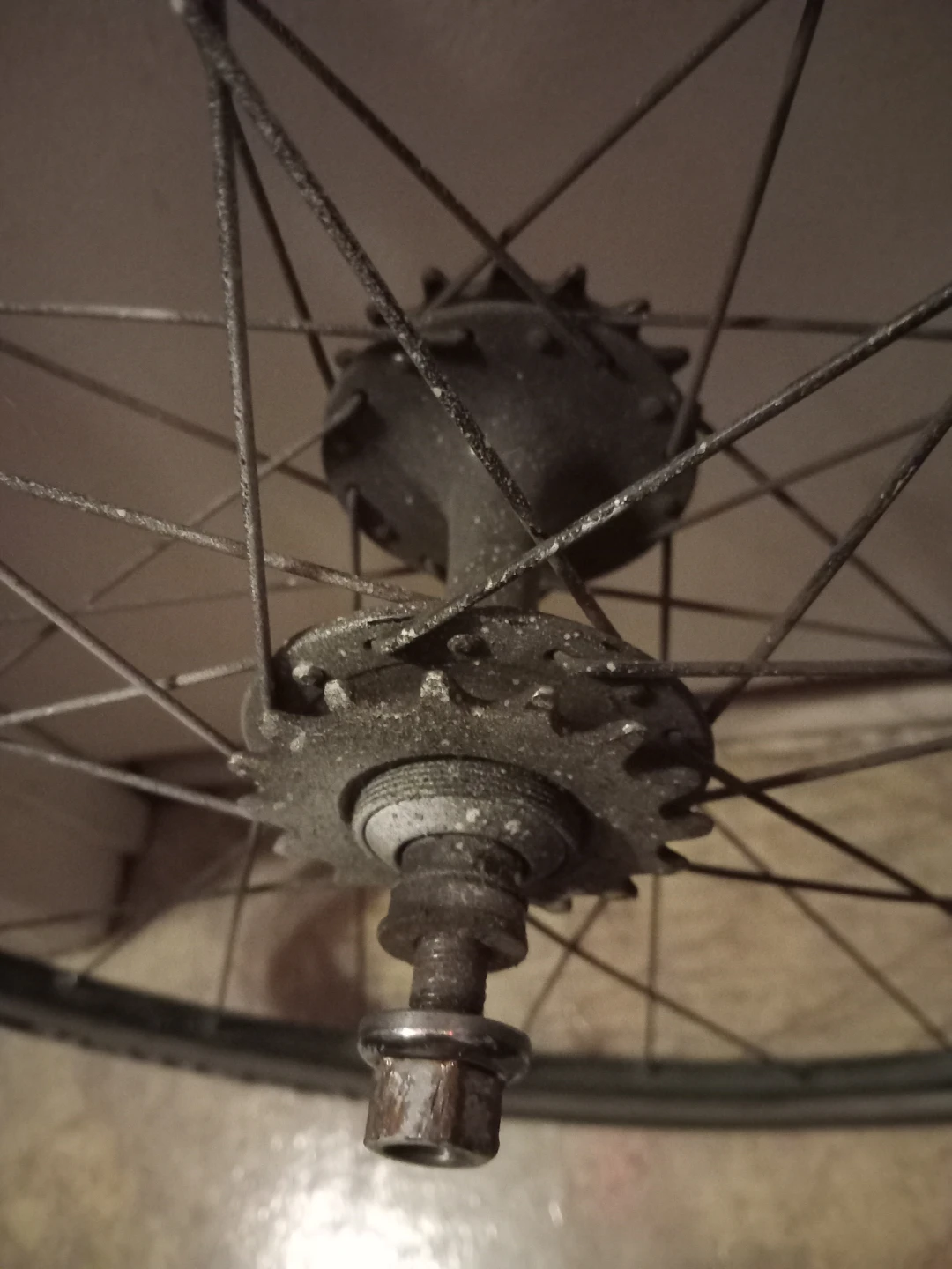 WTB ThickSlick Fixie Bike Wheel - photo 5