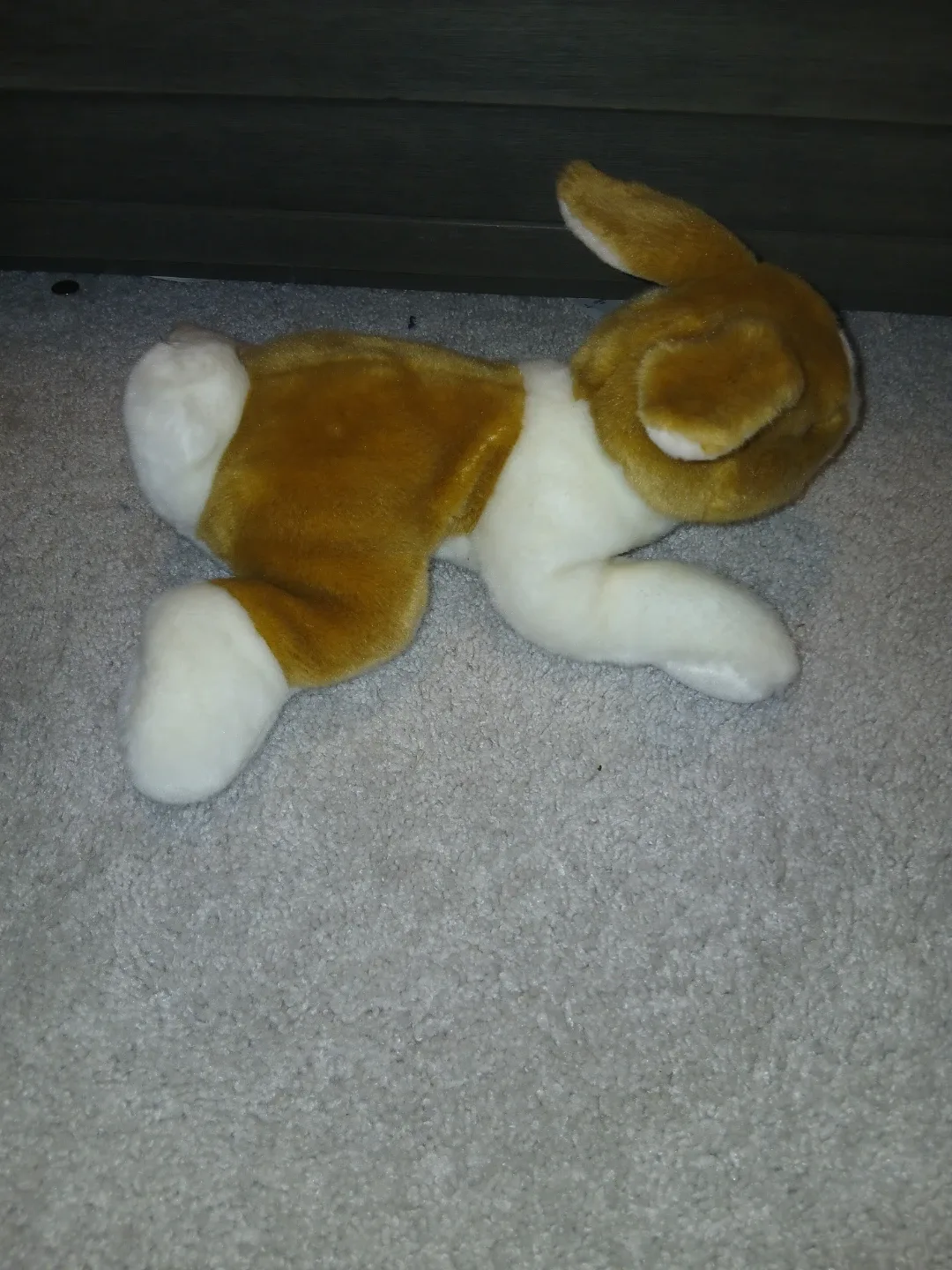 Oliver Brown & White Plush Rabbit image indicator(2)