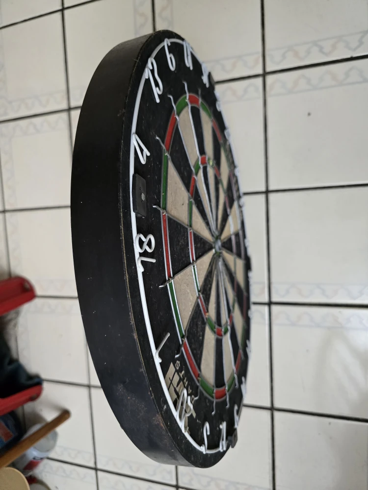 Brittany Dart Board 🥕 - photo 2