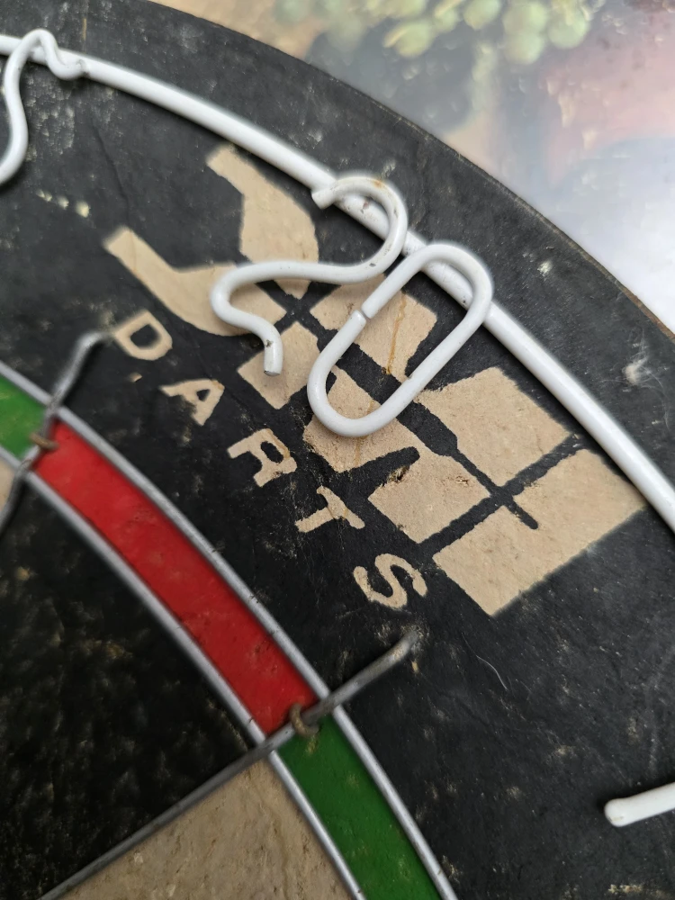 Brittany Dart Board 🥕 - photo 4