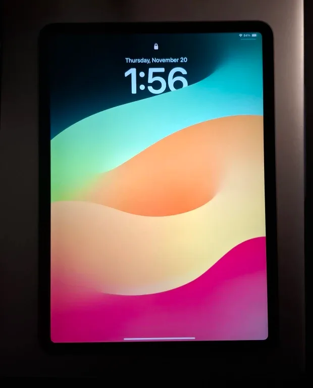 Ipad Pro 11 Inch 2nd Gen 512 GB image indicator(3)