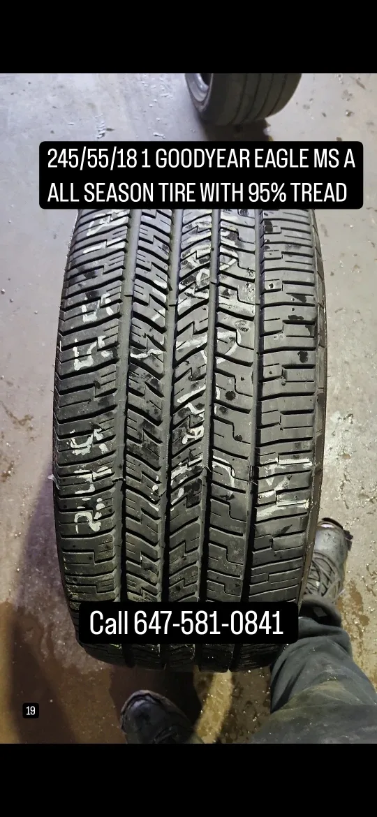 Goodyear Eagle MS A All Season Tire 245/55/18