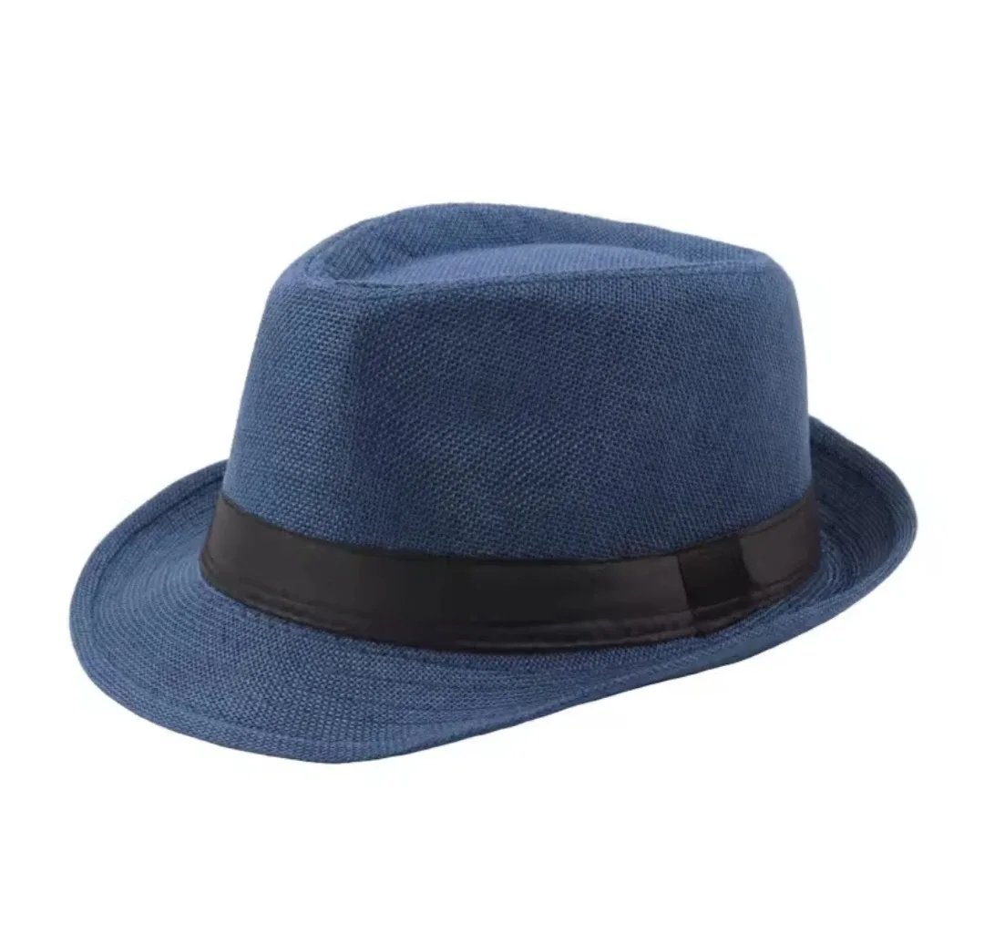 Assorted Hats - Blue Fedora & More image indicator(3)