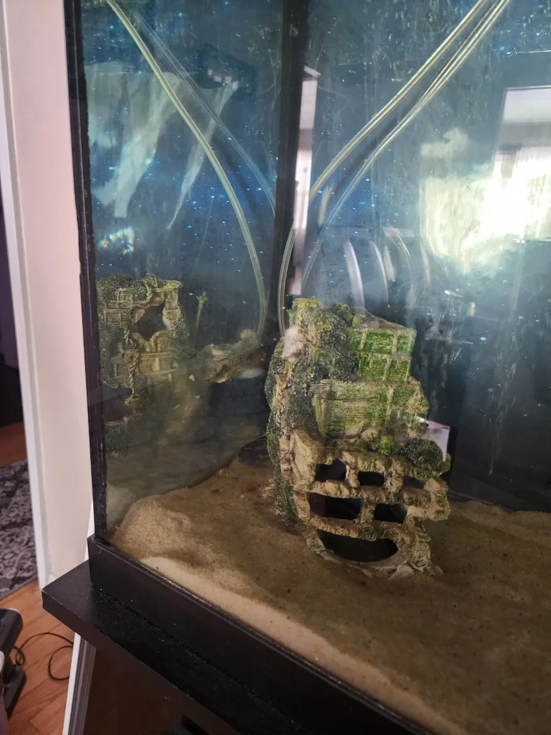 Aquarium / Fish tank with All Needed Accessories image indicator(5)