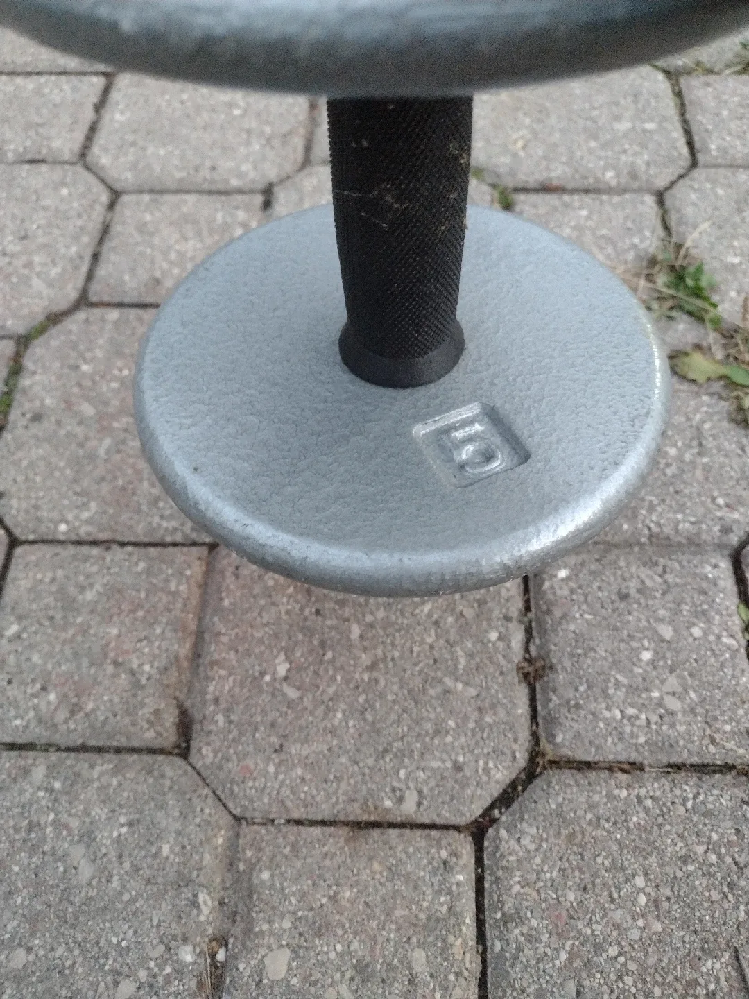 5 lb Dumbbell image indicator(3)