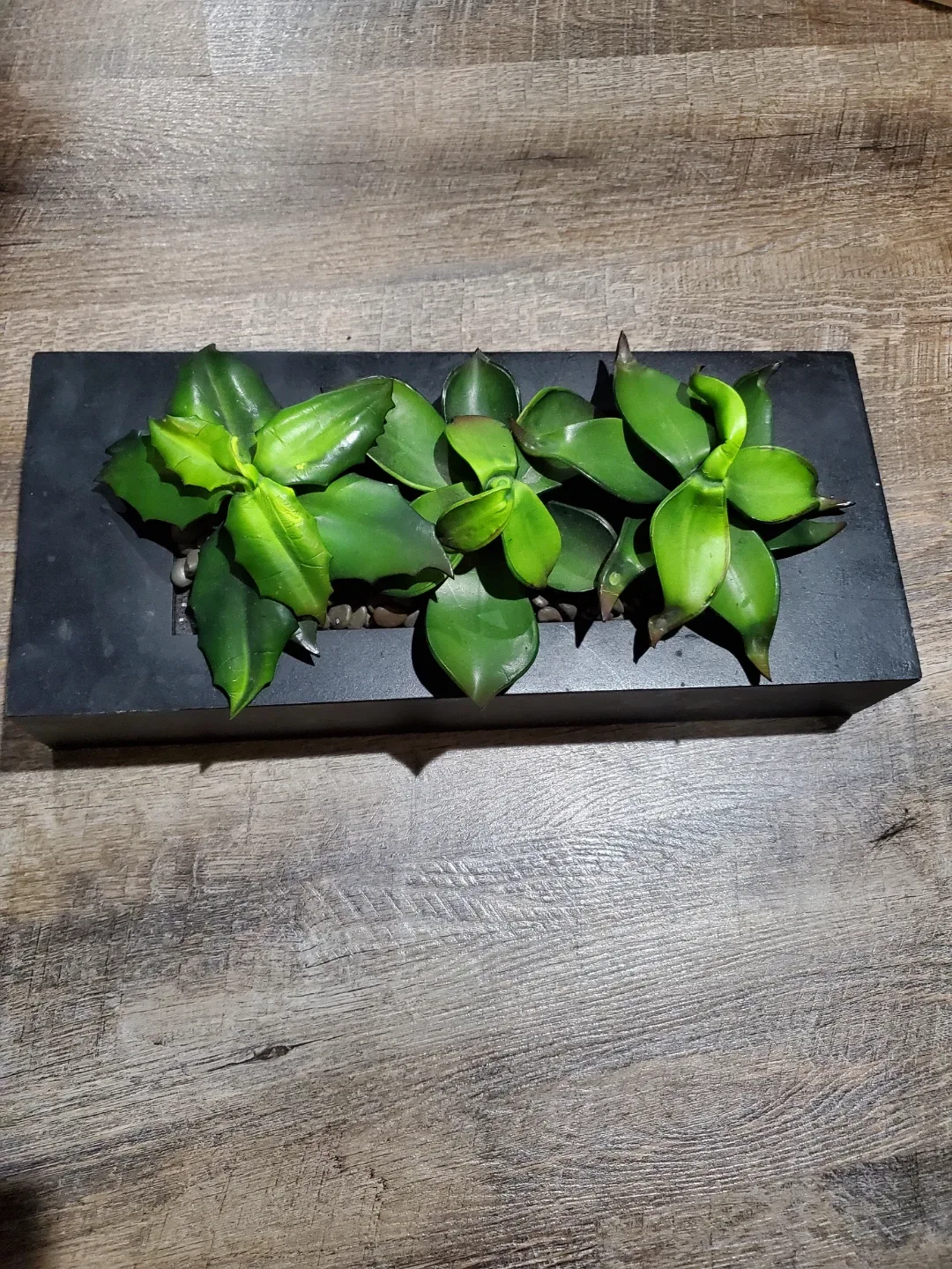 Artificial Succulent Arrangement in Black Planter