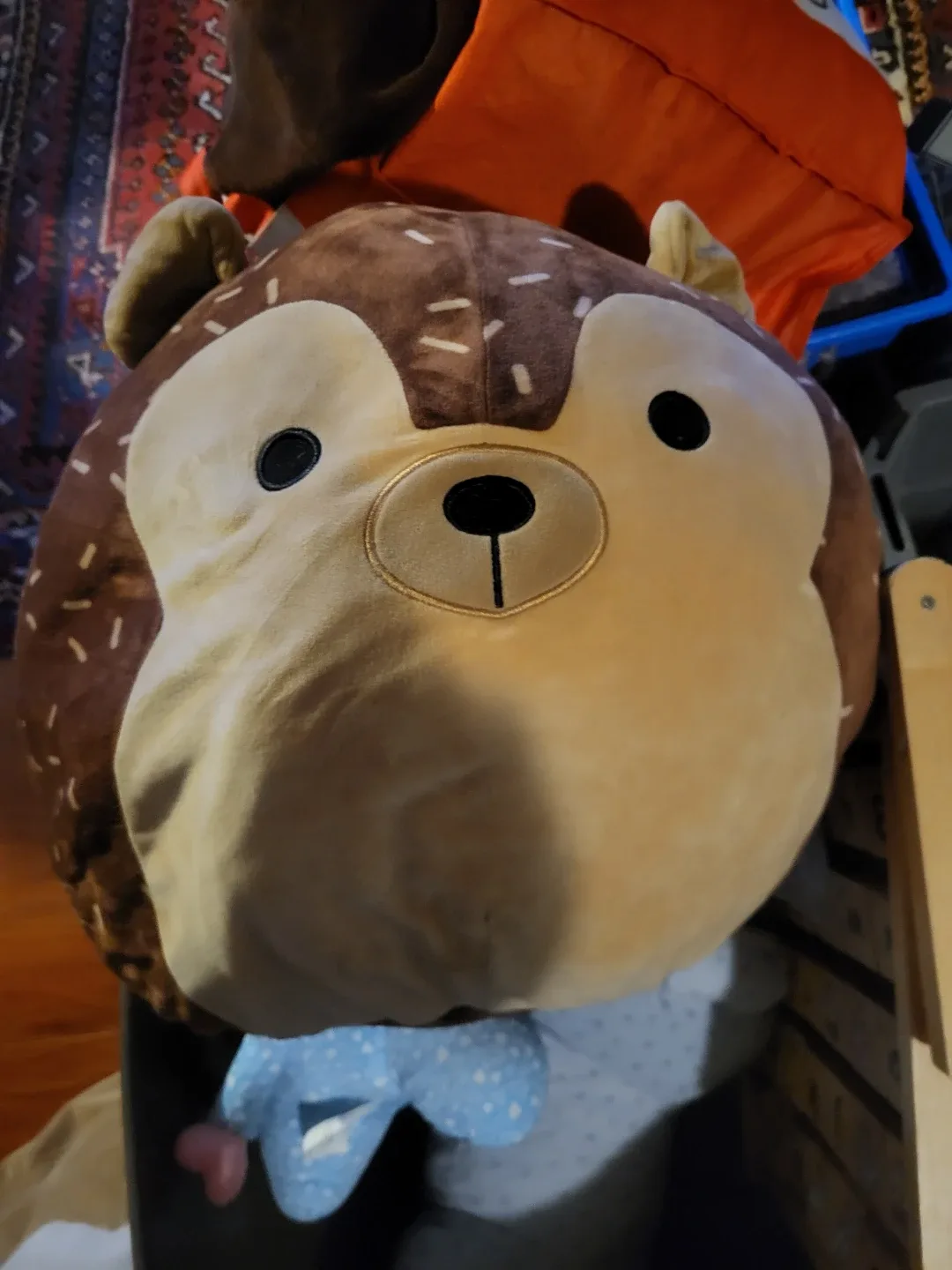 Squishmallows Hedgehog Plush