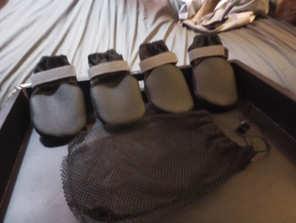 Dog Boots - Black, Size Unknown image indicator(2)