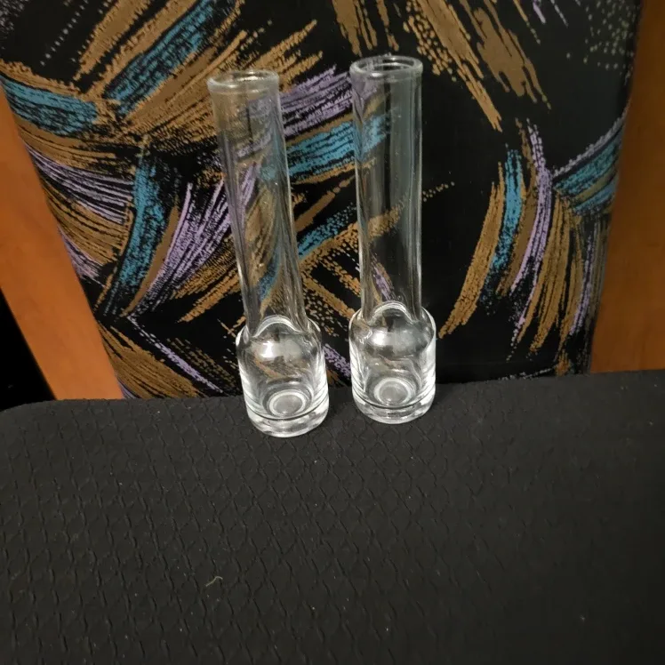 Two Clear Glass Vases