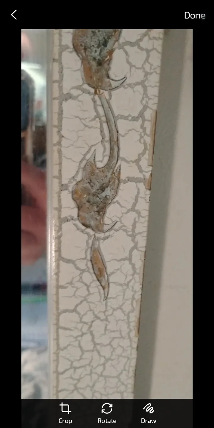 🥕 Vintage Style Wall Mirror image indicator(3)