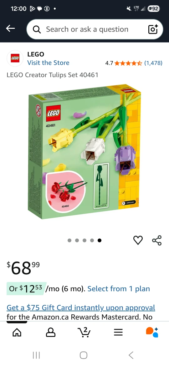 LEGO Creator Tulips Set 40461