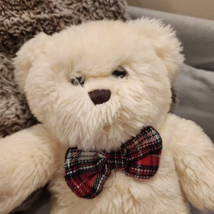 Cream Teddy Bear with Bow Tie image indicator(2)