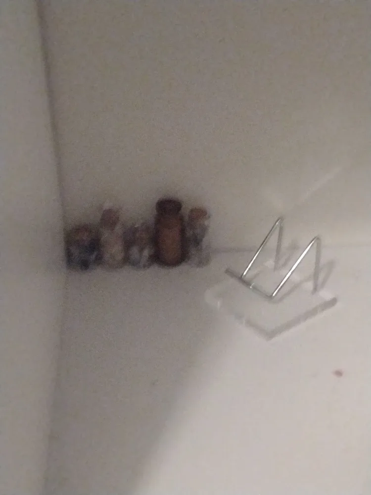 Assorted Crystal Towers image indicator(2)