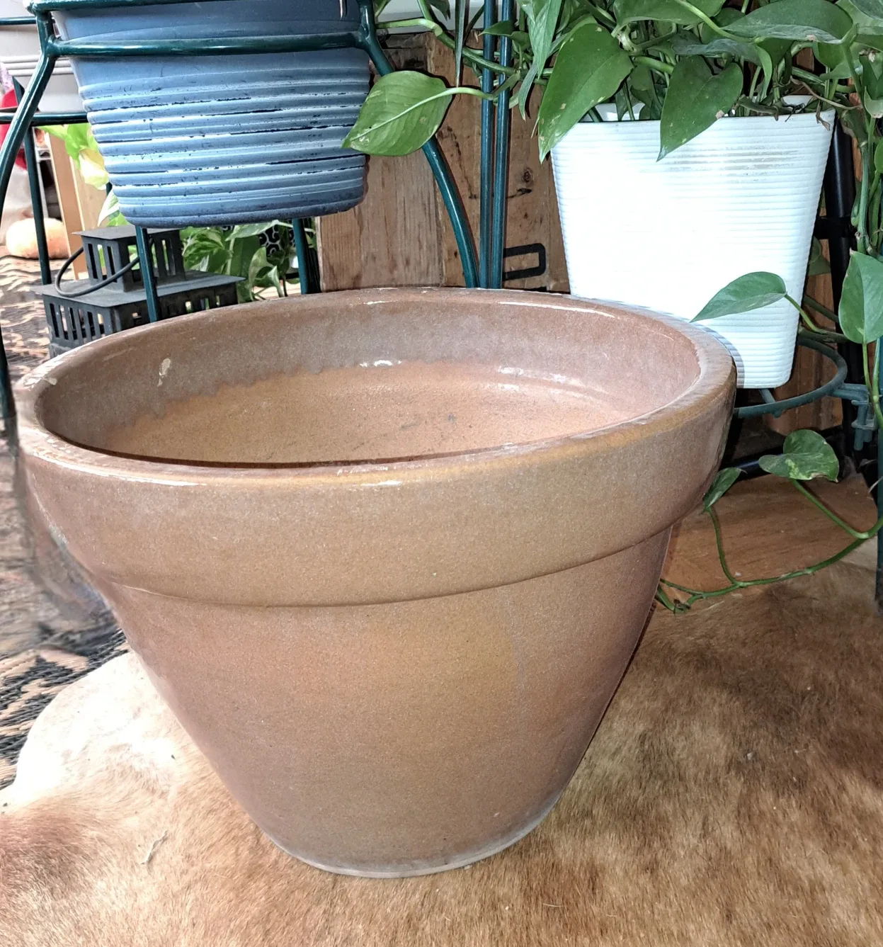 Large Terracotta Plant Pot