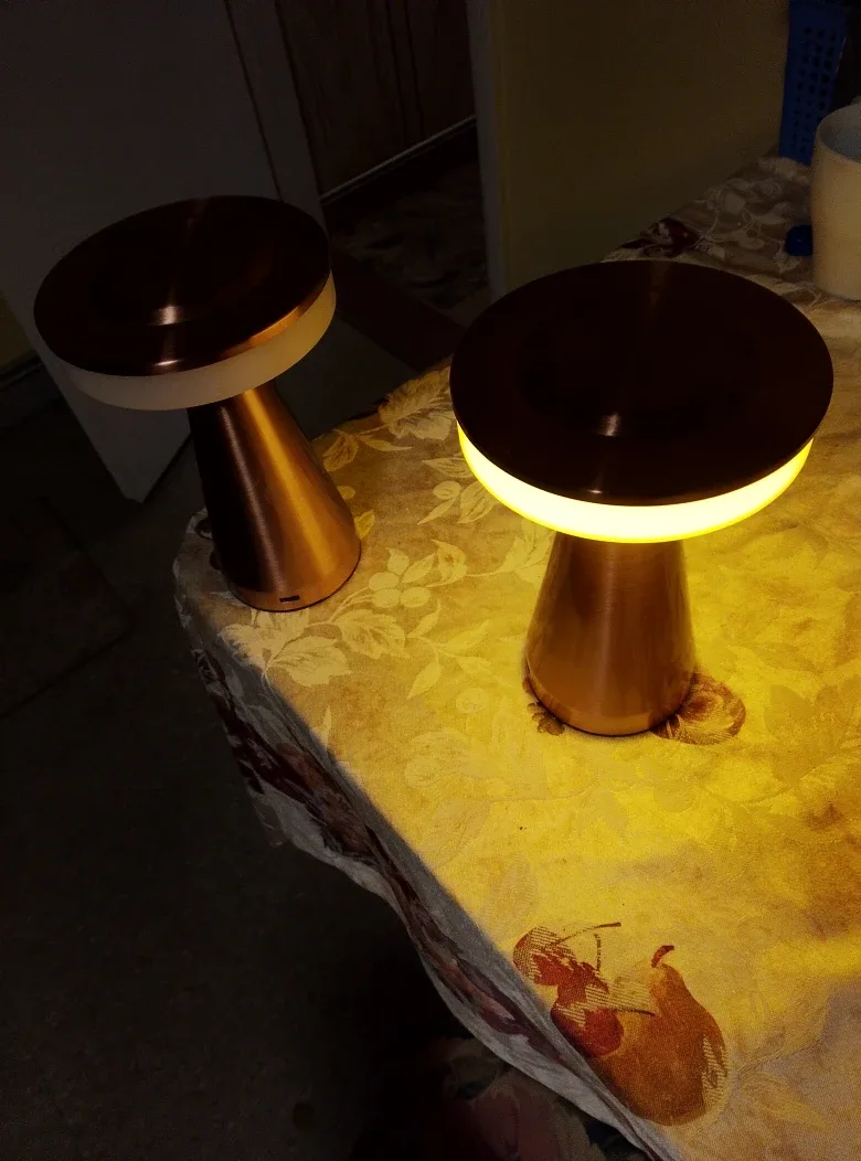Copper Mushroom Table Lamps (Set of 2) image indicator(2)