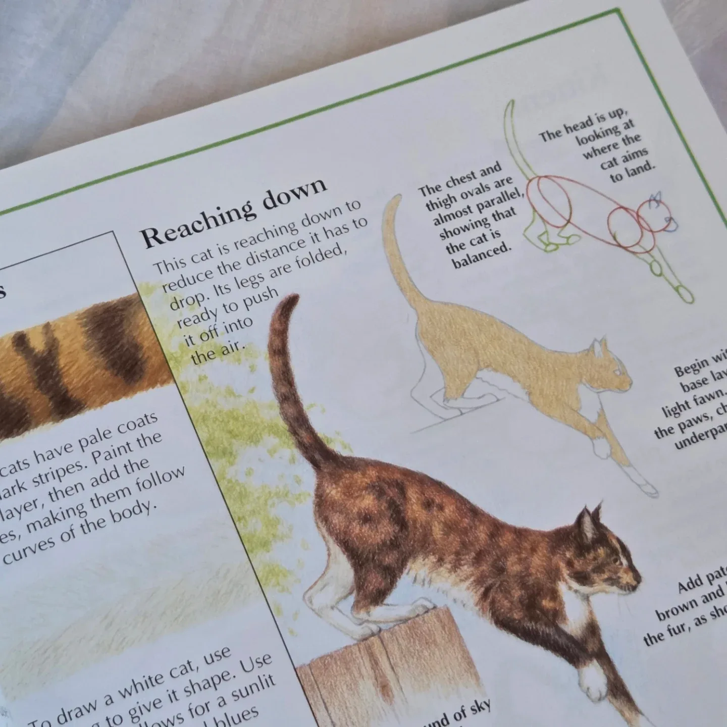 �🆕The Usborne Complete Book of Drawing image indicator(3)