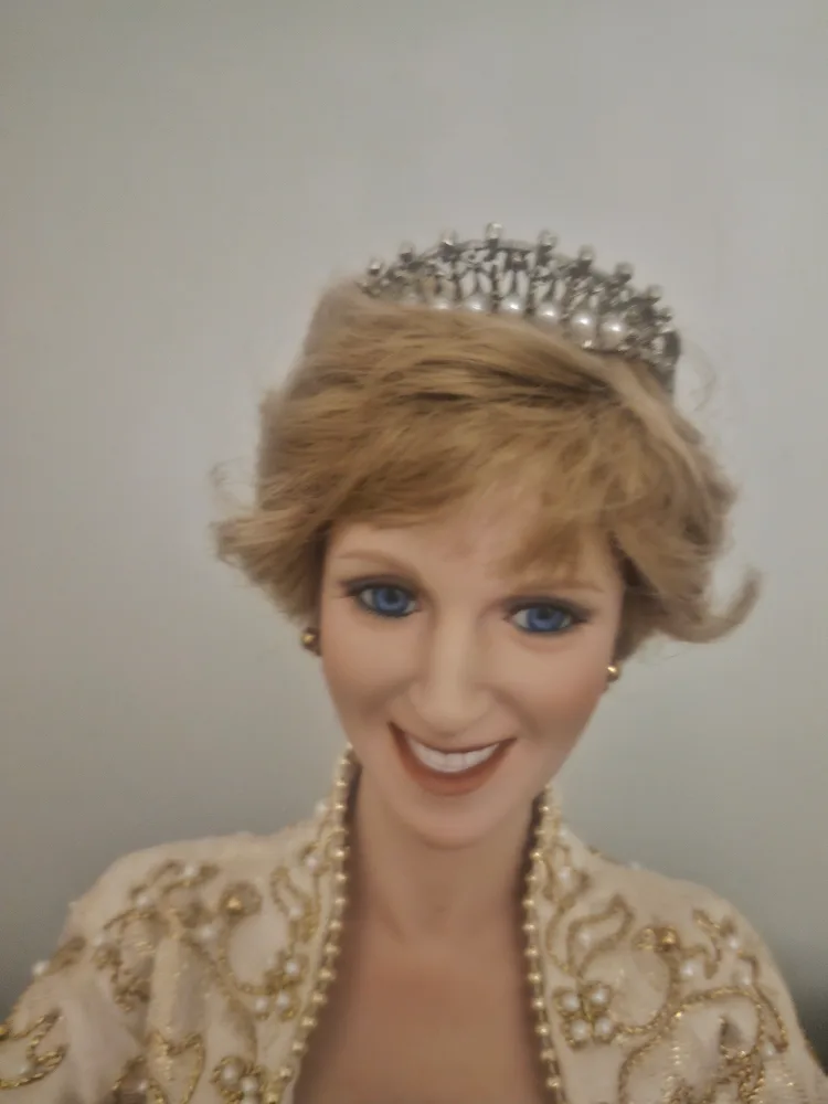 Princess Diana Porcelain Doll image indicator(3)