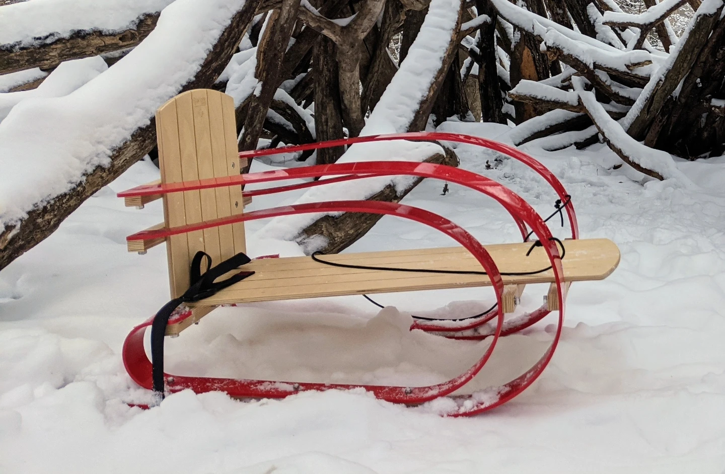 Rudolphe 3000 sled - photo 2