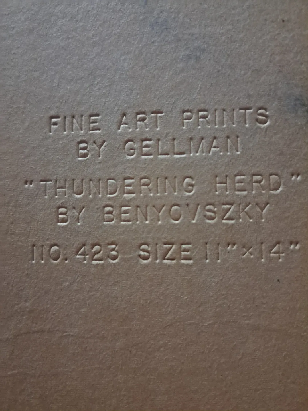 Fine Art Print "Thundering Herd" by Benyovszky, 11x14 image indicator(2)