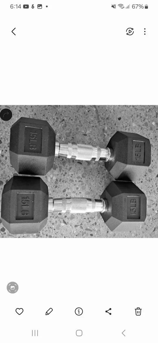 Dumbbells - 15lb Pair