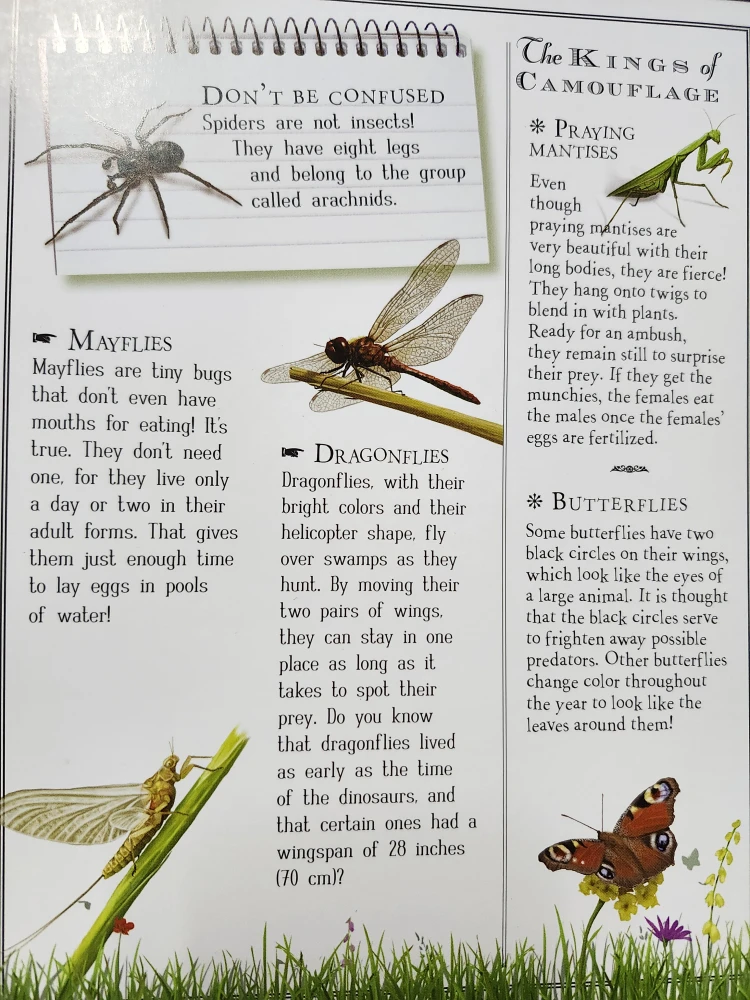 The Boy's Book of Adventure - photo 2