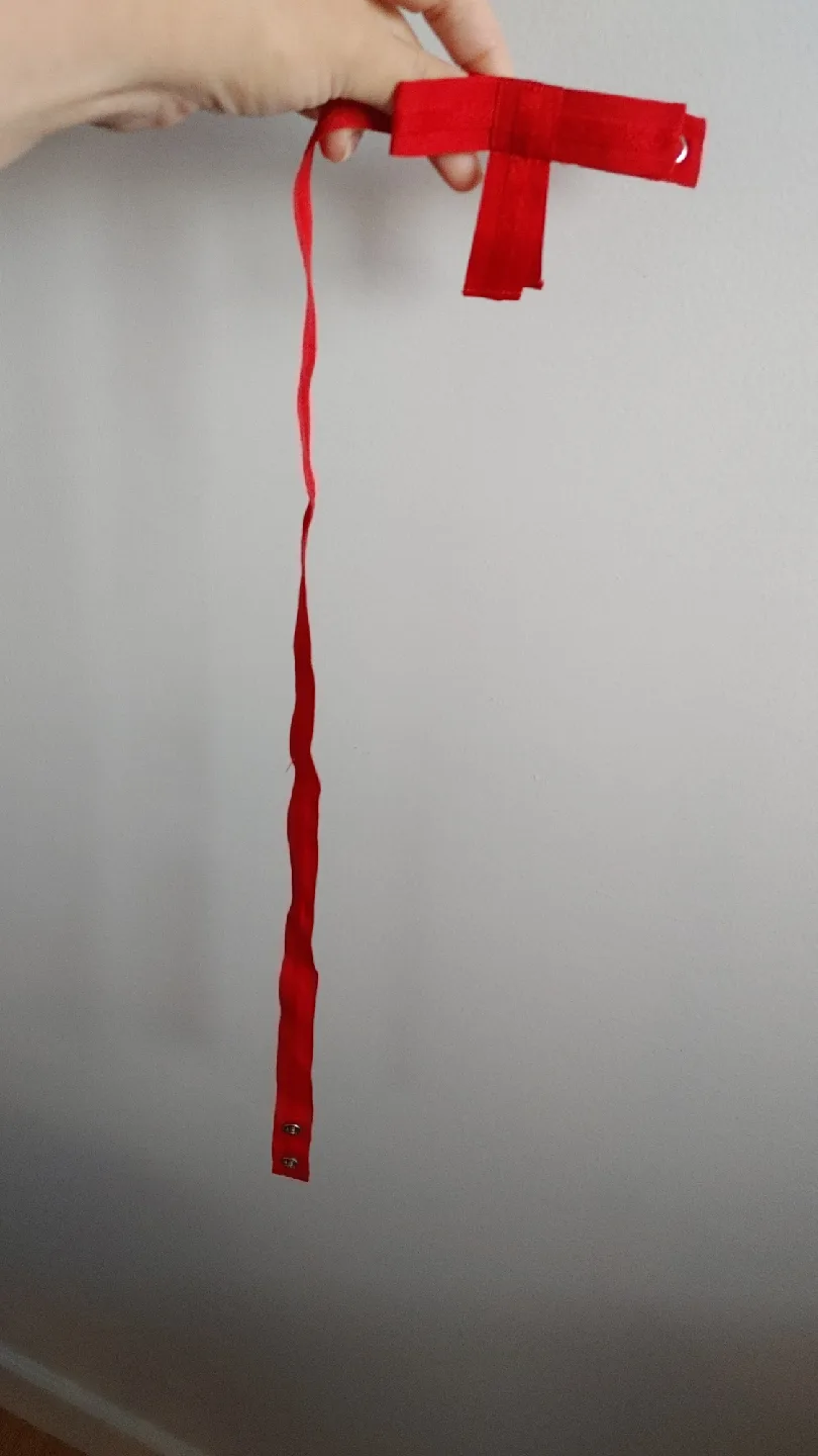 Red Ribbon Belt image indicator(5)