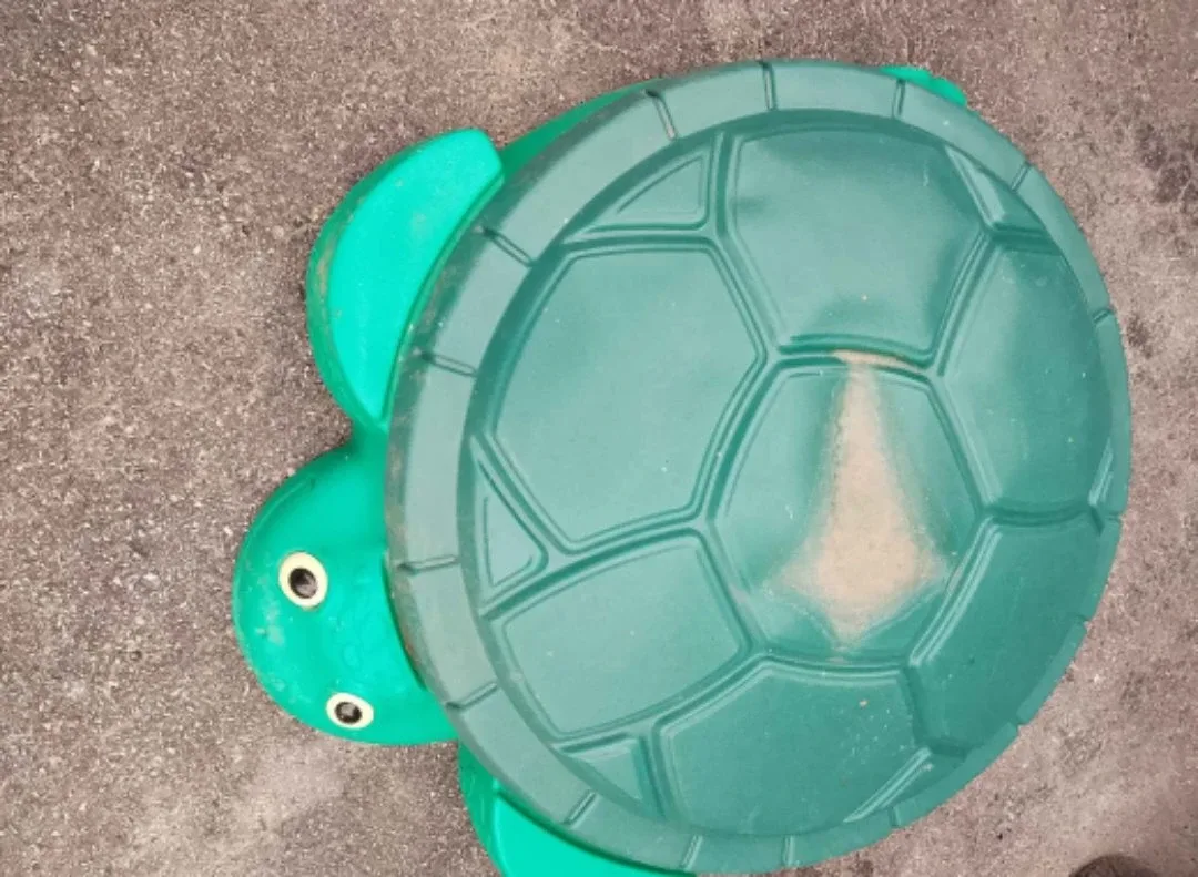 Turtle sand box with lid 🥕