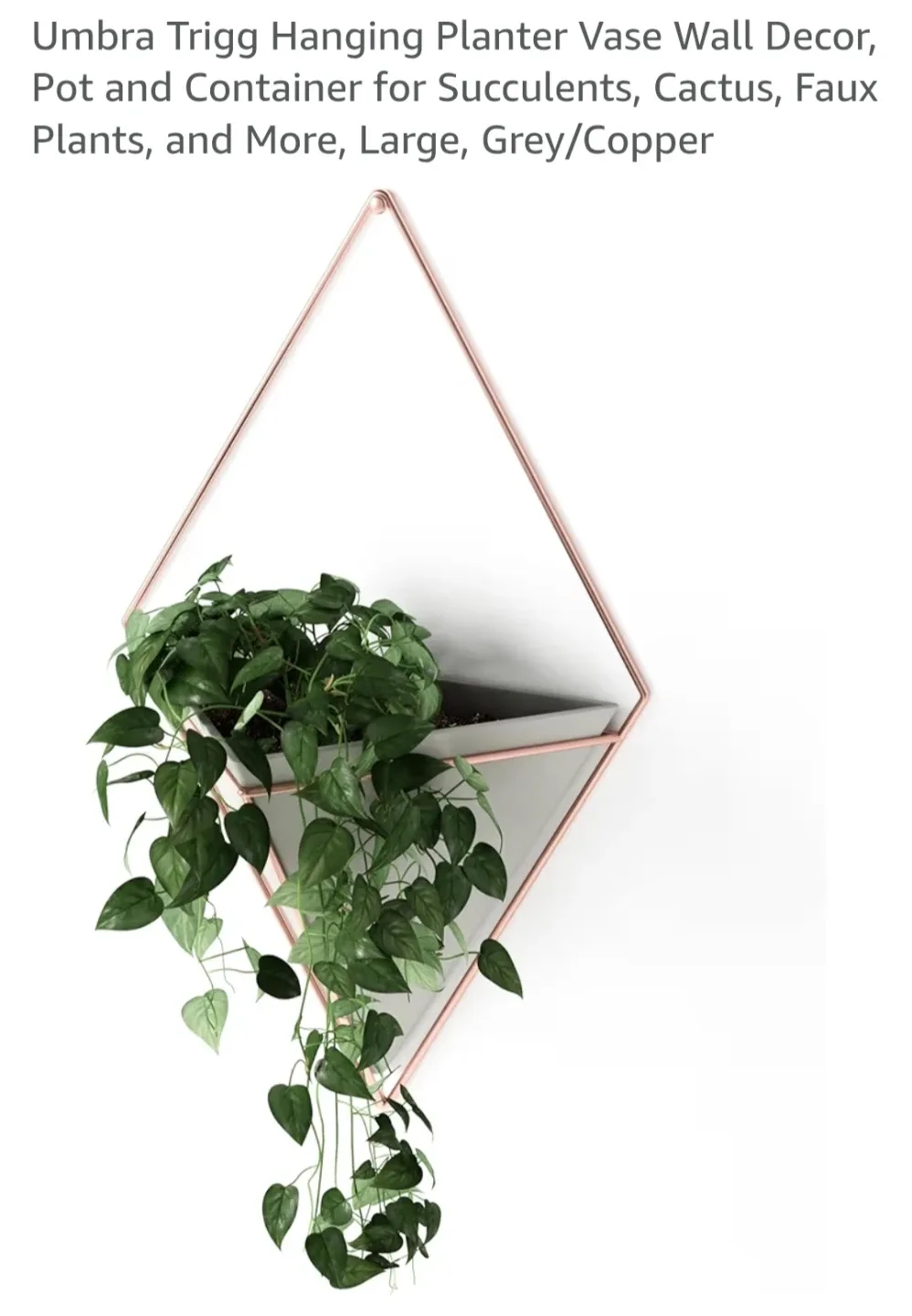 Umbra Trigg Hanging Planter Vase - Grey/Copper image indicator(2)