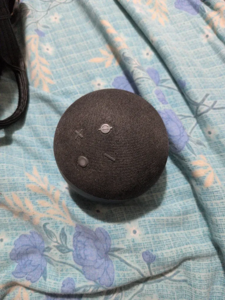 Amazon Echo Dot (4th Gen) Smart Speaker