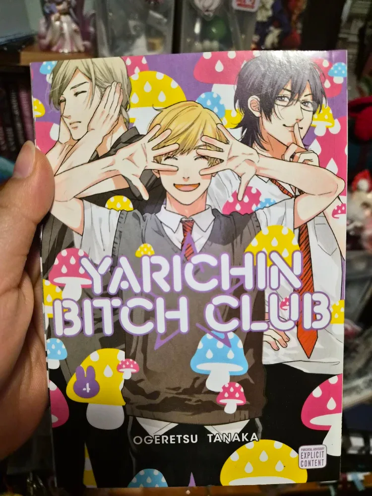 Manga lot for sale image indicator(7)