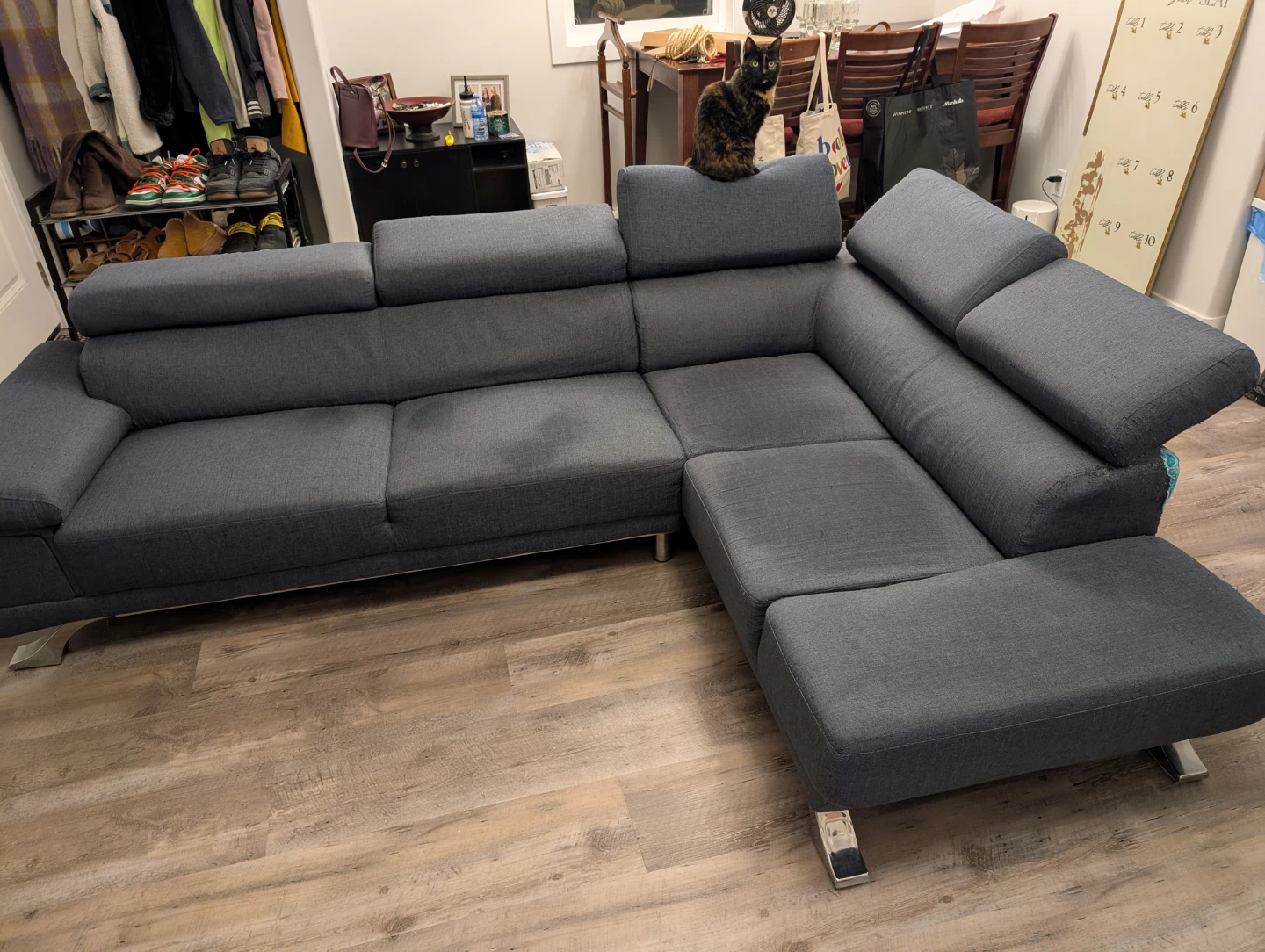 Sectional Couch with Adjustable Backrests