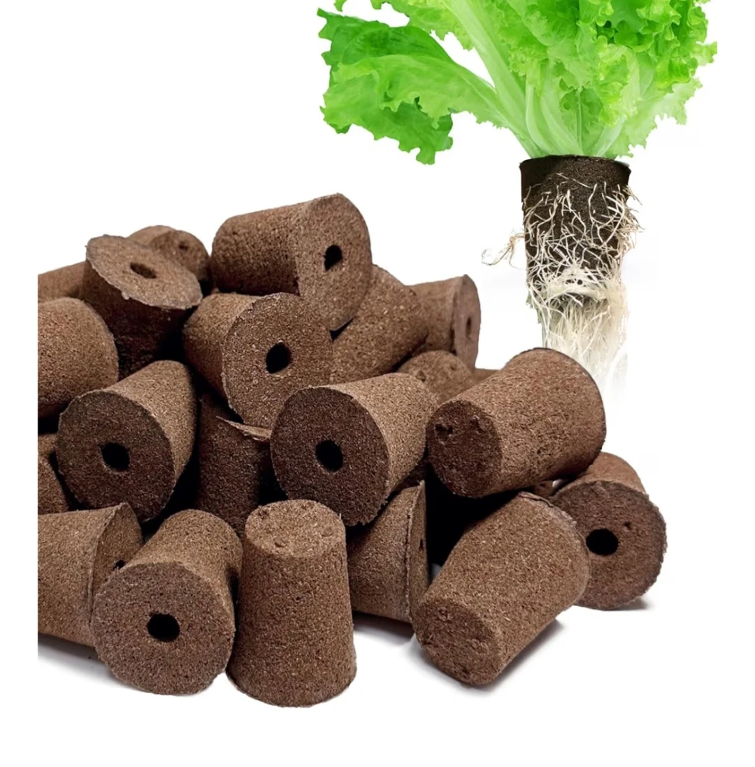 Round Replacement Seed Pod Sponges